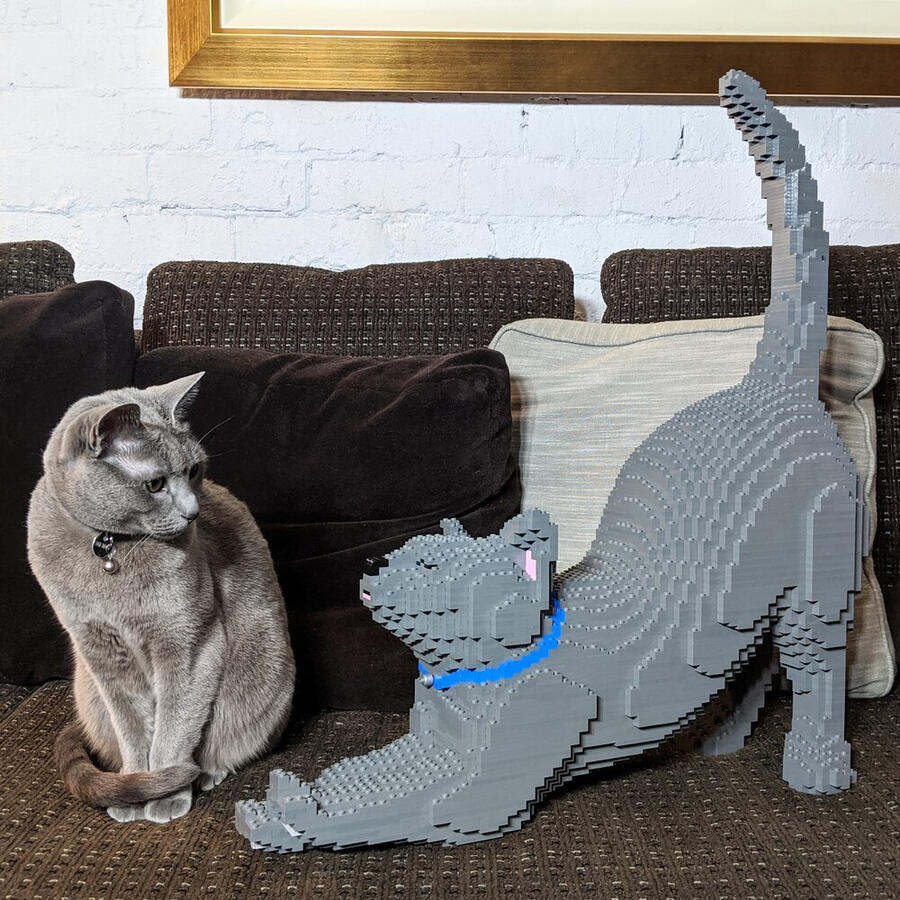 LEGO russian blue cat comparison