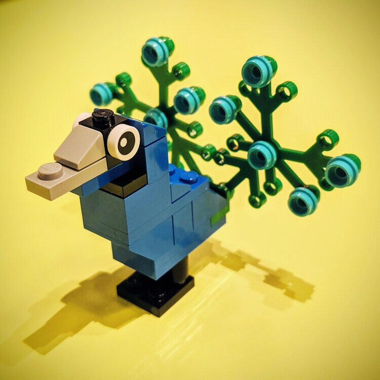 LEGO peacock model instructions
